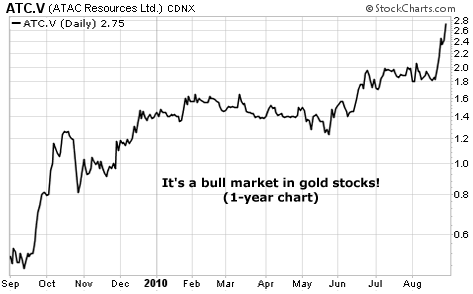 It's a bull market in gold stocks!