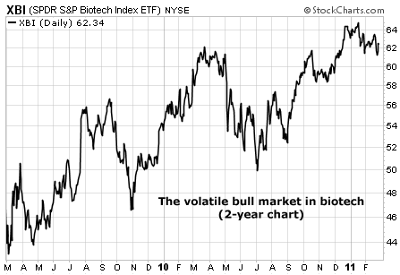 The volatile bull market in biotech