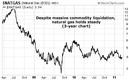 Despite massive commodity liquidation, natural gas holds steady